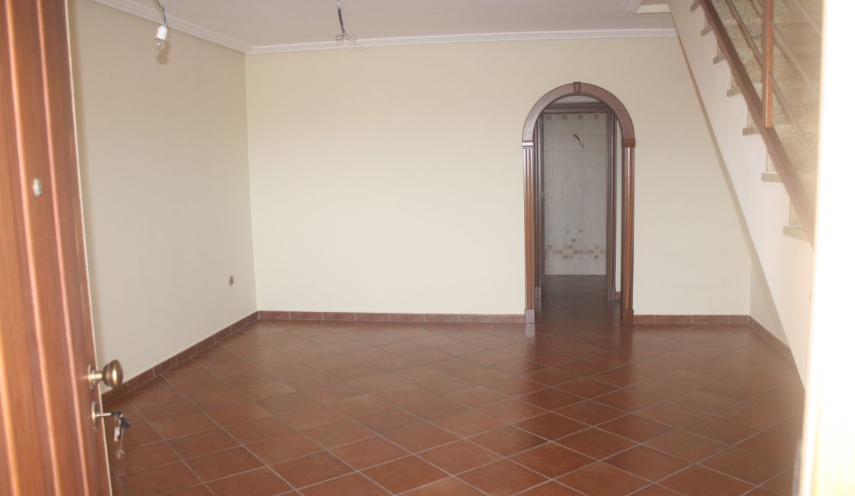 viveo-7000-bb6704facbea